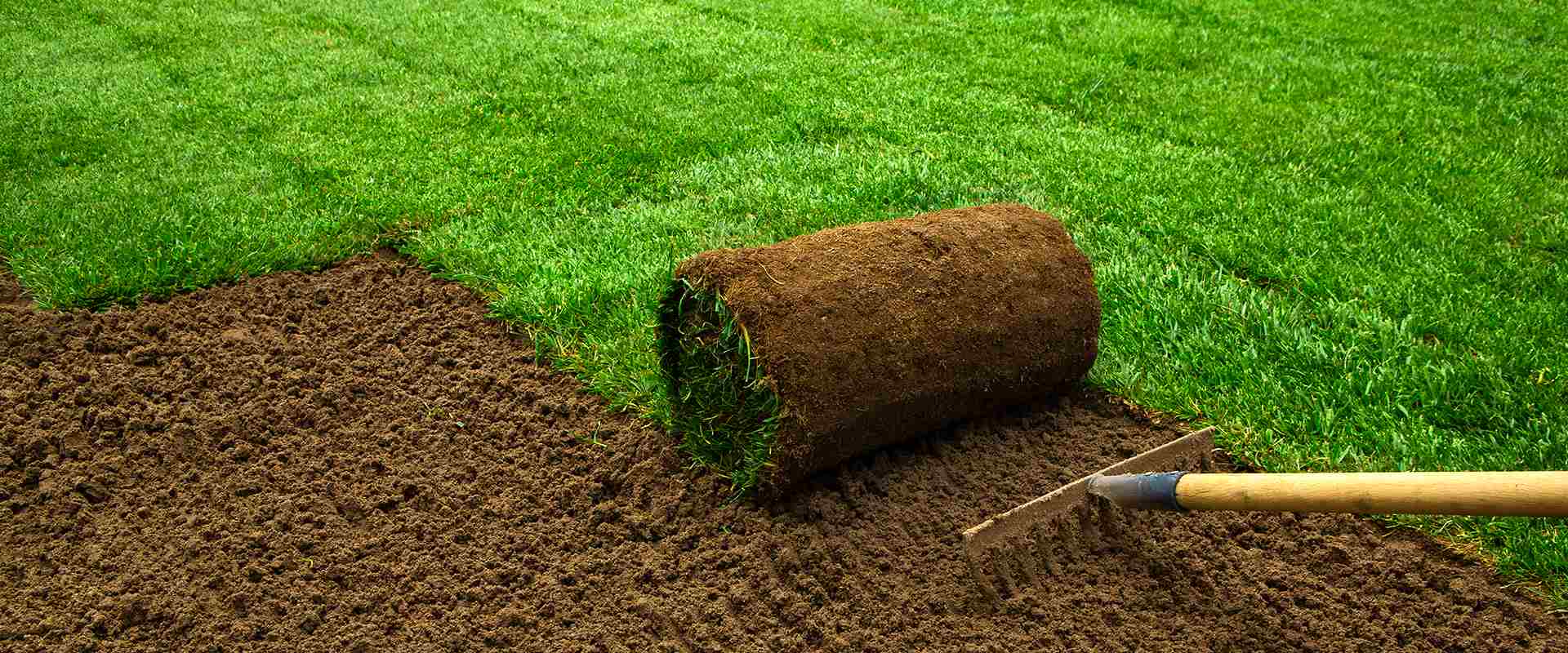 Rasenneuanlage und Rasenpflege von Offer Galabau in Verden