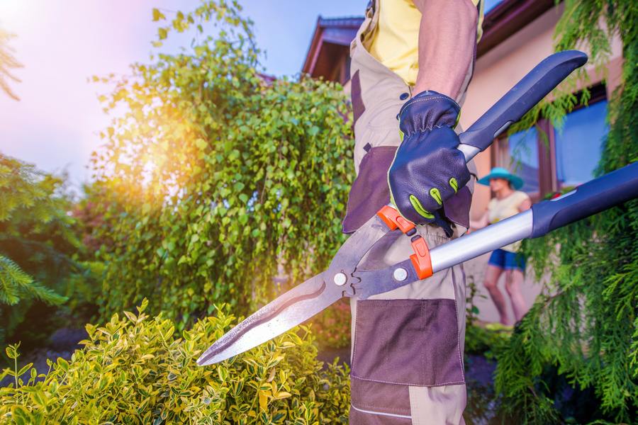Garten und Objektpflege von Offer Galabau in Verden