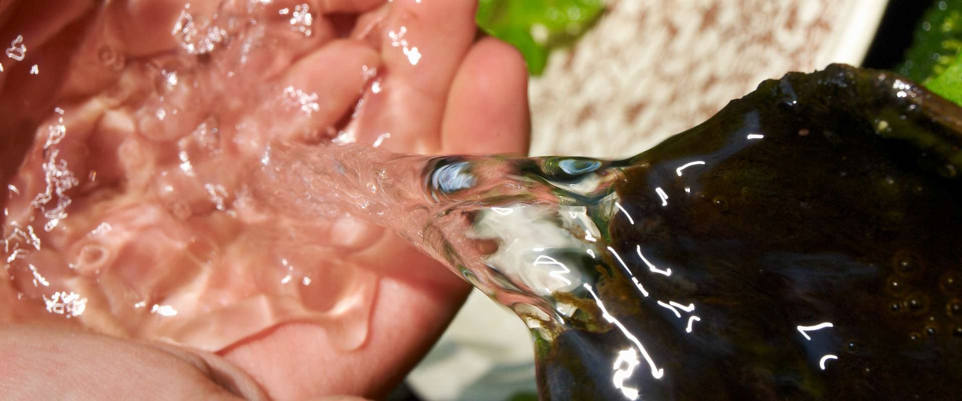 Teiche und Wasserspiele von Offer Galabau in Verden