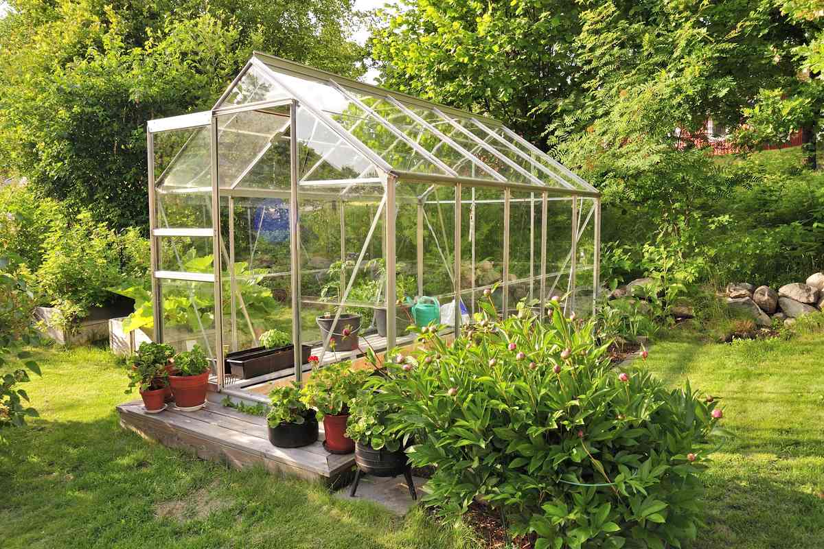 garten_gewaechshaus