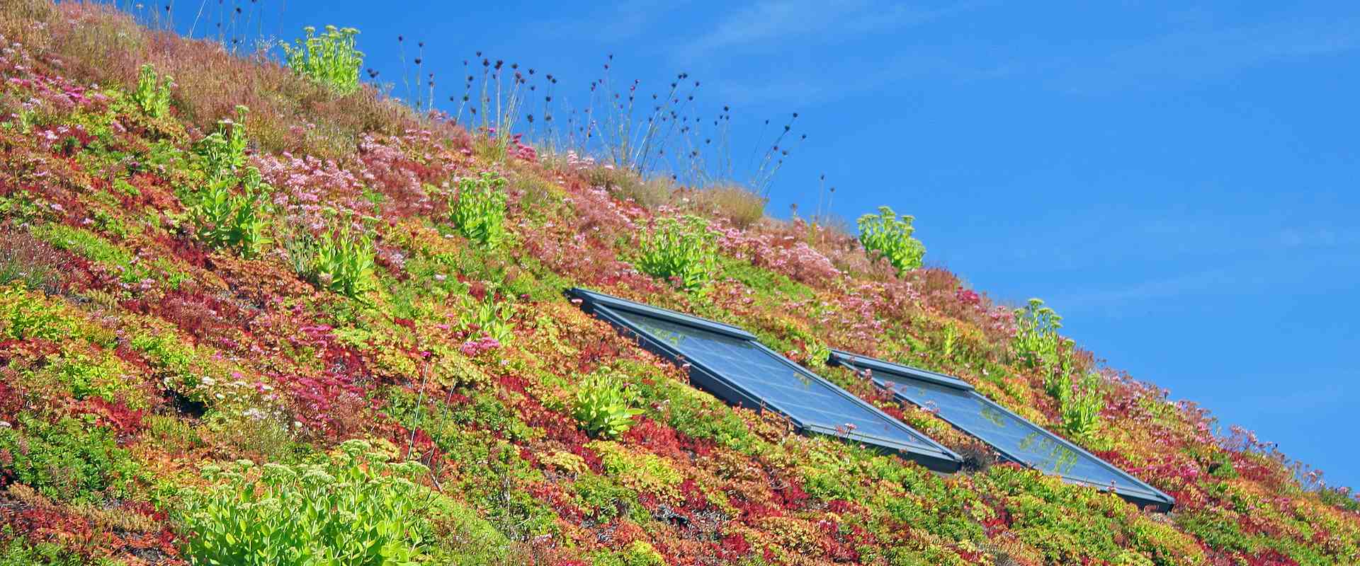 Dachgarten und Dachbegrünung durch Offer Galabau in Verden